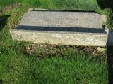 image of grave number 835866